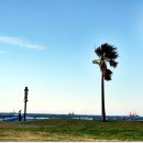 초밥천국 이미지