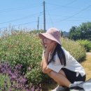 성광농장 이미지