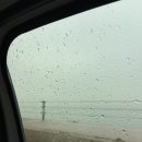 3/1~3/2 멈머와 함께하는 영흥도 1박 2일 여행 🌧️🐶