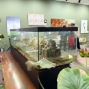 창녕동애등에 이미지