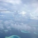 도하메드 이미지