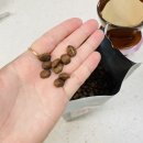 드립커피 이미지