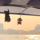 섬바위농장 이미지