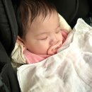 국립중앙의료원 | 국립중앙의료원 RSV 예방접종 다녀온 후기 : 내원 준비물 및 RSV예방접종 가격