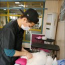 킴스애견미용 이미지