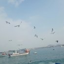 회뜨는서산