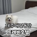뜨레비호텔