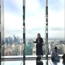 써밋 | 뉴욕 여행 준비 뉴욕 전망대 써밋 전망대 서밋 예약 후기