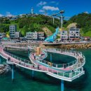 스포츠도시