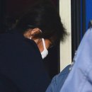 플레이그라운드 픽쳐스 이미지