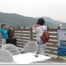 일과여행주