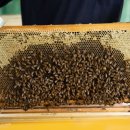 정재원농장 이미지