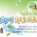 황토조아