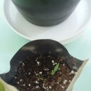 보경어린이집 이미지