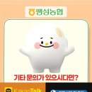 팽성농협 안송지점 네이버블로그