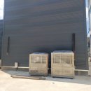 부성공조 이미지