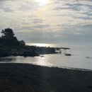 남원 제일농장 이미지