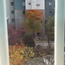 GTS버거 보라점 | 11월 23일까지. 놀기 신청 하러 온 거야?