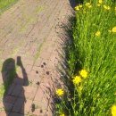 창녕함안보사업소 이미지