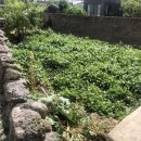 서문치안센터 이미지