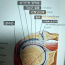 태후카서비스