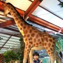 애니 팜 이미지