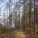 노고지리민박 이미지