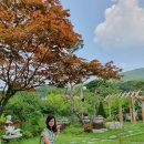 강촌한의원 이미지