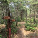 생각나네민박 이미지