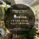 뜻밖의 하루 이미지