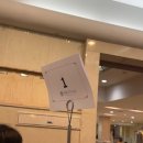 아쿠아 | 부산 불꽃축제 아쿠아펠리스 전망대 후기