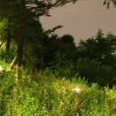 신대호수 이미지