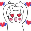 영진회센타 이미지