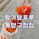 왕가탕후루 인천 계양구청점 디저트 맛집 내돈내산 후기