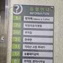 빵카페(대맥프라자) | [군포/산본] 베이커리 카페, 뷰 좋은 빵카페 군포점 내돈내산 솔직 후기