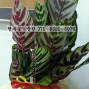 동송프라자 이미지