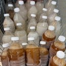 건영유치원 | [중계/하계역 맛집] 수다미찬 : 프리미엄 반찬 + 김밥 추천! 내돈내산 방문 후기