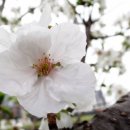 바다그린 이미지