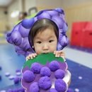 송이송이 이미지