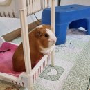돈암카 네이버블로그