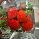 글쓰기 레시피, 봄 | 12월 둘째주 식단으로 보는 일상 (feat. 간장치킨 레시피)