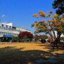 곡성-117 이미지