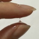 헤어터치 이미지