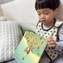 키위북스 5세 추천 위인전 달려라,애니! 자전거 타고 세계 속으로 창작동화 고래의 노래