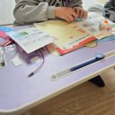 (초등)과학실험 | 초등과학실험 영재 과학실험 후기[내돈내산]