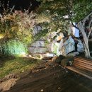 이탈리안 돈까스 | [정읍 맛집] 마리서사레스토랑 솔직 후기 – 이탈리안돈까스 &amp; 생채볶음밥 조합이 국룰인 이유