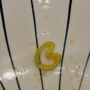 회령 옷 이미지