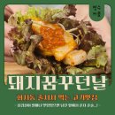 돼지꿈꾸던날 이미지