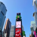 버스정류장 06-082 | 여행 prologue / 준비 기록 &amp; 윌리엄 호텔 미드타운 손더 숙박 후기 (The William Hotel Midtown, Sonder)