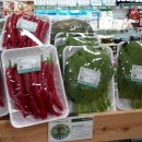 동춘천농협하나로마트 학곡점 이미지